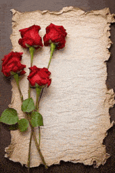 a piece of old paper with red roses on top of it