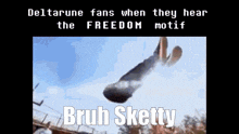 a video of a person doing a trick with the words bruh sketty below it