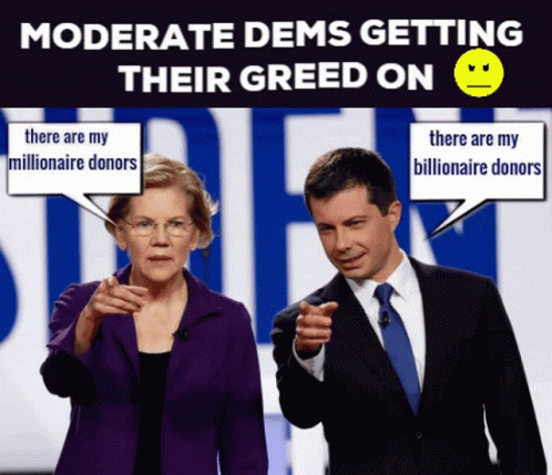 Moderate Democratic Supporter