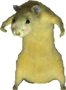 a hamster is standing on its hind legs with its arms outstretched