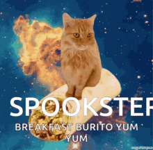 Spookster Cat GIF - Spookster Cat Yum GIFs