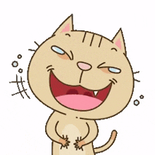 Cat Happy GIF - Cat Happy Laughing GIFs