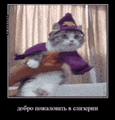 a cat is wearing a purple cape and a witch hat .
