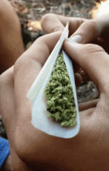 Rolling Weed GIF - Rolling Weed Joint GIFs