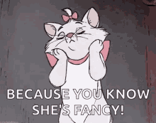 Cat Conceited GIF - Cat Conceited Fancy GIFs