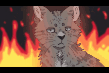 cats fire