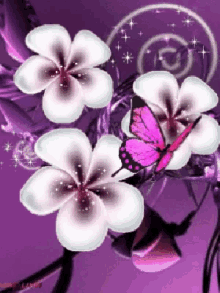 Butterfly Flower GIF