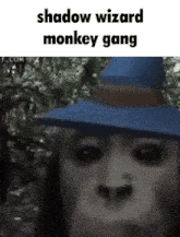 Shadow Wizard Money Gang Shadow Wizard Monkey Gang GIF - Shadow Wizard Money Gang Shadow Wizard Monkey Gang Bloons GIFs