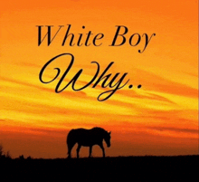 a horse is silhouetted against a sunset sky with the words white boy why