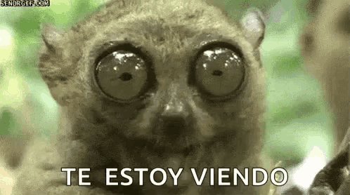 te estoy viendo gif