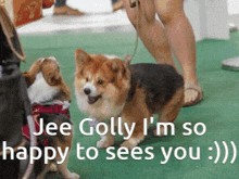 Cant Wait To See You Ollie So Excited To Annoy You GIF