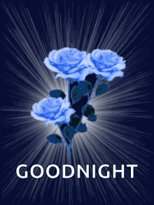 Goodnight Blue Flower GIF - Goodnight Night Blue Flower GIFs