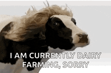 Blonde Cow Wig Cow GIF