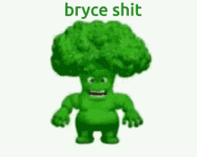 bryce broccoli bryce boy bryce shit bryce shart