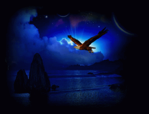 Aguila Azul GIF - Aguila Azul Mis Imagenes En Azul - Discover & Share GIFs
