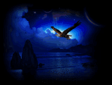 Aguila Azul GIF - Aguila Azul Mis Imagenes En Azul GIFs