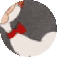a black and white cat with a red bow tie around its neck