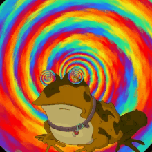 hypnotoad futurama toad
