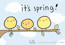Birds Branch GIF - Birds Branch Spring GIFs