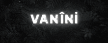Vanini Vaninienes GIF - Vanini Vaninienes Vaninihüllaizm GIFs