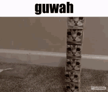 Guwah Greature GIF - Guwah Greature Sad Cat GIFs