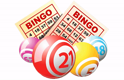 Kunci Sukses Togel: Prediksi dan Tips Jitu!