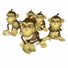 Monkey Singe GIF - Monkey Singe Funny GIFs