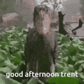 Hello Trent GIF - Hello Trent Meme GIFs