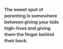 a quote about the sweet spot of parenting is somewhere between giving your kids high fives and giving them the finger behind their back