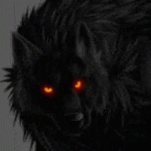 cool alpha wolf red eyes
