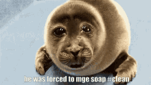 Mge Seal GIF - Mge Seal Soap GIFs