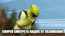 Yashmerino Watch GIF - Yashmerino Watch Shrek GIFs