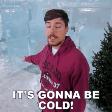 Its Gonna Be Cold Mr Beast GIF