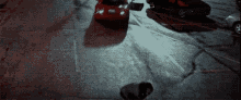 Wanted Car GIF - Wanted Car Trick GIFs
