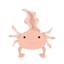 axolotl swimming