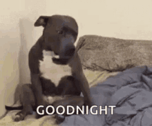 Goodnight Sad GIF - Goodnight Sad Tired GIFs