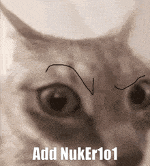 Nuker1o1 Add Nuker1o1 GIF - Nuker1o1 Add Nuker1o1 GIFs