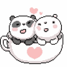 panda polar bear couple cuddle sweet couple