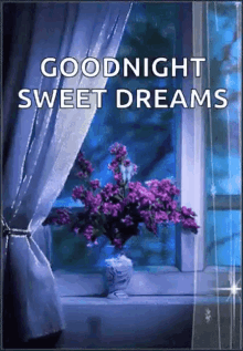 good night sweetdreams butterfly flowers