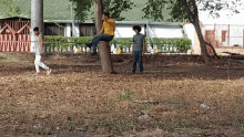 a man in a yellow shirt sits on a tree stump talking on a cell phone