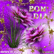 a purple background with pink flowers and the words bom dia in gold letters