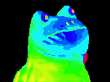 rainbow meme mlg frog pepe