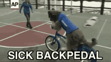 Backpedal Knight GIF - Backpedal Knight The King - Discover ...