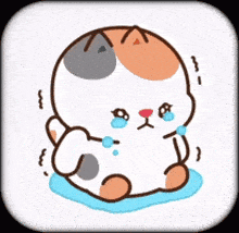 a cartoon cat is crying while sitting in a puddle of water .