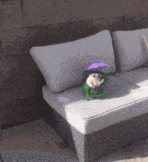 Chill Relax GIF - Chill Relax Hedgehog GIFs