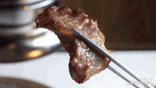 a close up of chopsticks holding a piece of meat with the words made in animatica below it