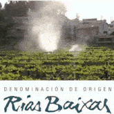 a rias baixas logo with a sprinkler spraying water on a vineyard