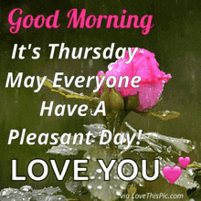 Good Morning Thursday GIF - Good Morning Thursday Have A Nice Day GIFs