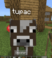 Tupac Vaca Cow GIF