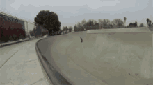 Dog Skate Boarding GIF - Dog Skate Boarding GIFs